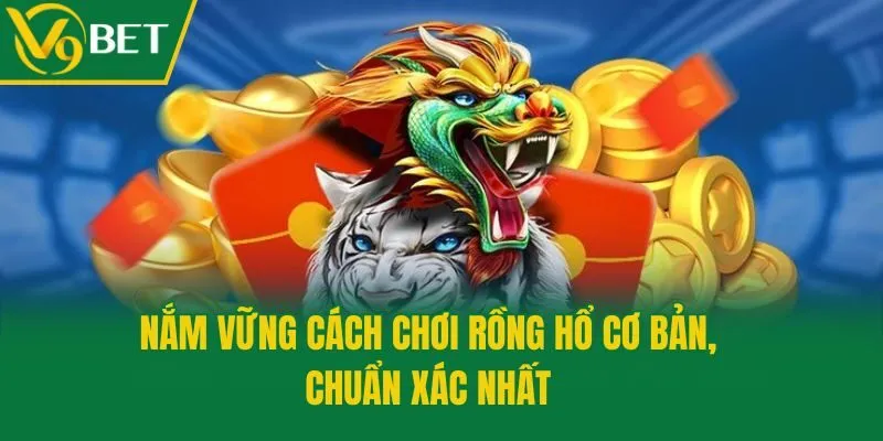 Nắm vững cách chơi Rồng Hổ cơ bản, chuẩn xác nhất