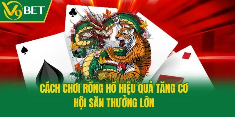 Cách chơi Rồng Hổ hiệu quả tăng cơ hội săn thưởng lớn
