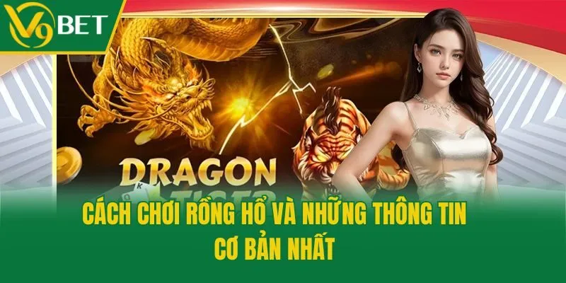 Cách chơi Rồng Hổ và những thông tin cơ bản nhất