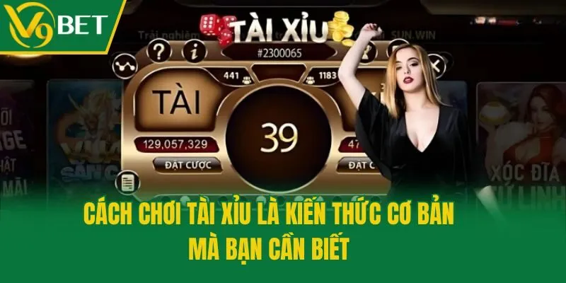 Cách chơi tài xỉu là kiến thức cơ bản mà bạn cần biết