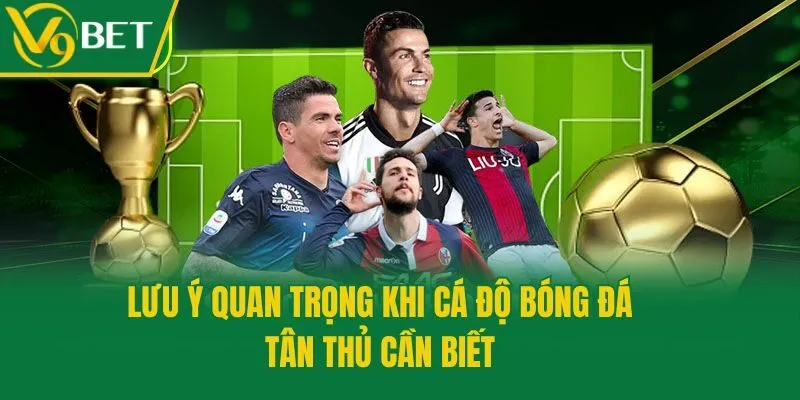 Lưu ý quan trọng khi cá độ bóng đá tân thủ cần biết
