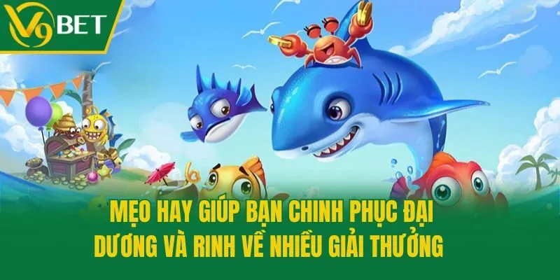 Mẹo hay giúp bạn chinh phục đại dương và rinh về nhiều giải thưởng 